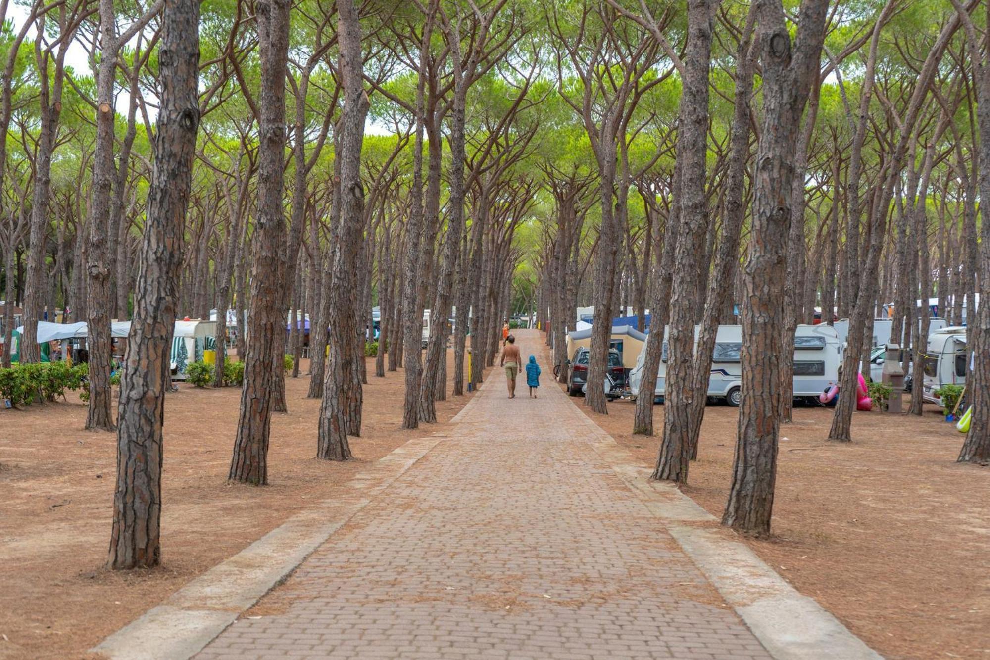 Village Baia Blu La Tortuga 4*